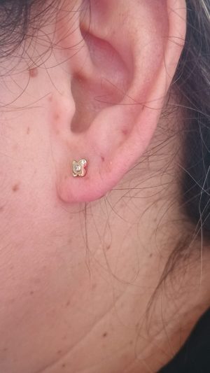 BRINCO PEQUENO ZIGONIA FOLHEADO 18 K / ROMANEL ANTIALERGICO