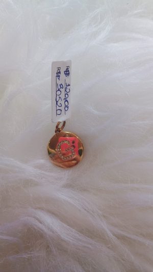 PINGENTE G ZIGONIA FOLHEADO OURO / ROMANEL